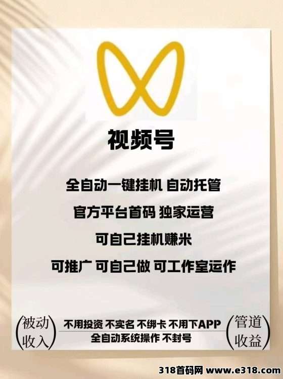 【视频号】最新全自动挂机，2025开启轻松副业，一斗米视频号挂机，免费带！