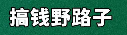 一个比较小众的搞钱野路子！