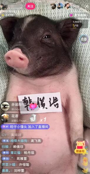冷门赛道日入600米，零技术含量！