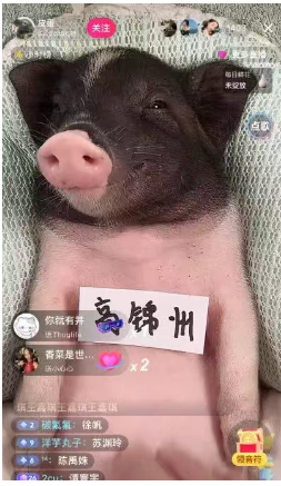 零门槛冷门赚钱项目，轻松日赚600+
